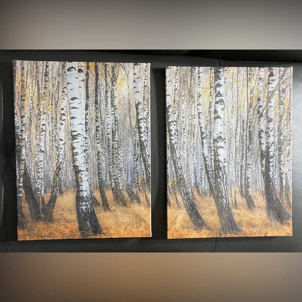 PHOENIX Wall Art Canvas Set